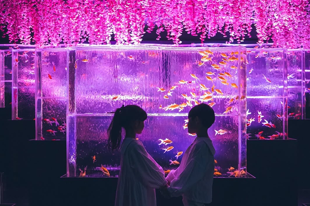 アートアクアリウム美術館 銀座 チケット - Image 7 of 8