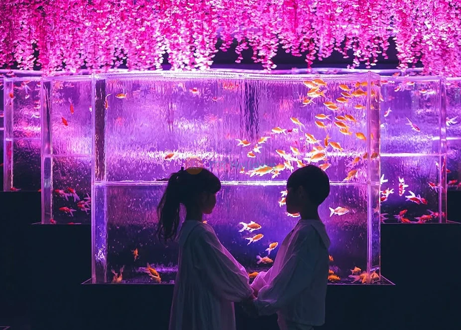 Art Aquarium Museum GINZA Ticket | Unique Tokyo Goldfish Art Experience - JTR Holidays - Image 7 of 8