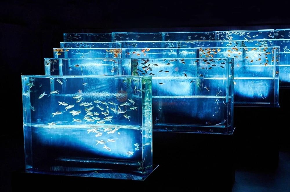 Art Aquarium Museum GINZA Ticket | Unique Tokyo Goldfish Art Experience - JTR Holidays - Image 8 of 8