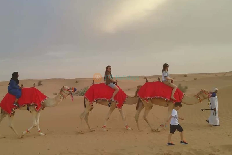 Safari Matutino en el Desierto de Dubái con Cuatrimoto - Image 6 of 7