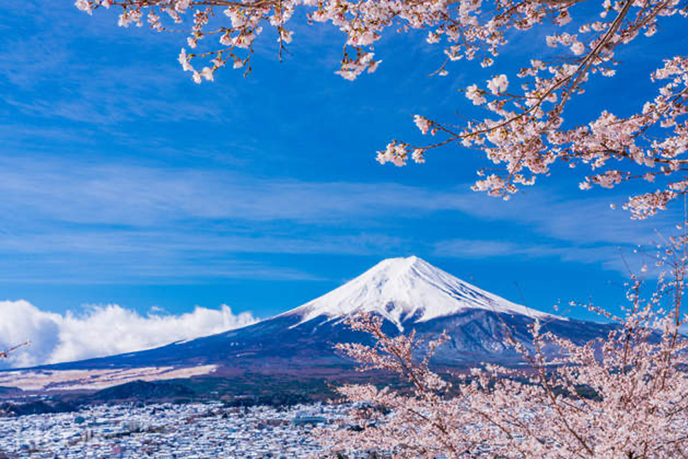 도쿄 출발 후지산 & 하코네 당일 여행 점심 포함 - 이미지 2 중 5