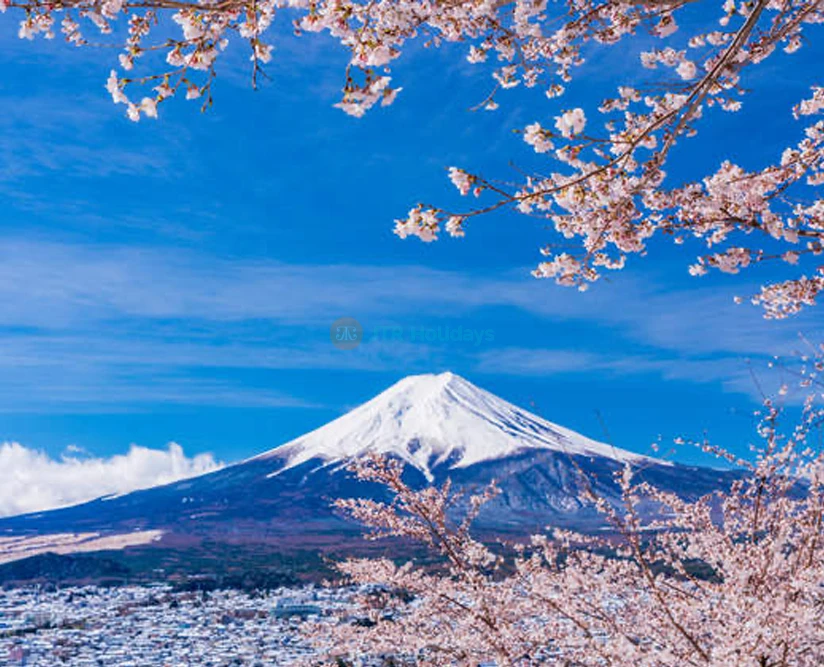 Mt. Fuji & Hakone One Day Trip from Tokyo with Lunch | Scenic Tour & Cruise - JTR Holidays - Image 2 of 5