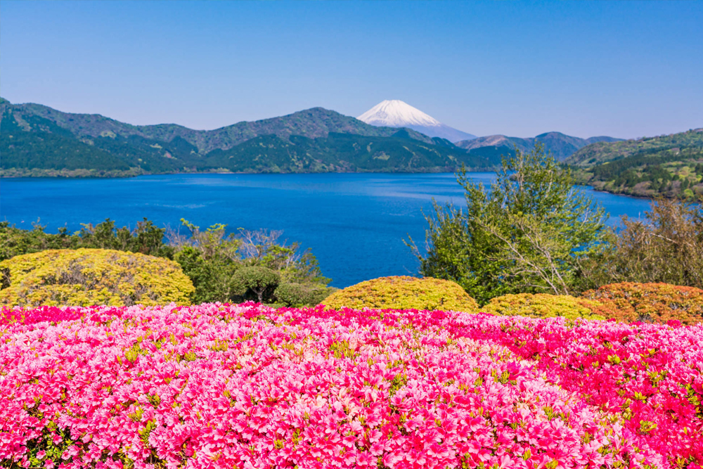 Mt. Fuji & Hakone One Day Trip from Tokyo - Experience the Mt. Fuji & Hakone One Day Trip from Tokyo with lunch as you explore Japan’s most iconic sights in just one day. Visit Mt. Fuji’s 5th Station for stunning views, enjoy a relaxing cruise on Lake Ashi, and ride the Hakone Ropeway over the volcanic valley. Shop at Gotemba Premium Outlets and savor a delicious Japanese lunch. Don’t miss the chance to book your Mt. Fuji & Hakone One Day Trip from Tokyo with lunch for a perfect day of nature, culture, and adventure. Mt. Fuji & Hakone One Day Trip from Tokyo - Image 3 of 5