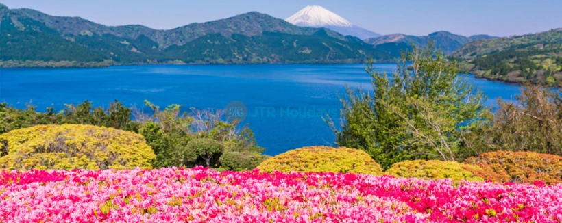 Mt. Fuji & Hakone One Day Trip from Tokyo with lunch - Experience the Mt. Fuji & Hakone One Day Trip from Tokyo with lunch as you explore Japan’s most iconic sights in just one day. Visit Mt. Fuji’s 5th Station for stunning views, enjoy a relaxing cruise on Lake Ashi, and ride the Hakone Ropeway over the volcanic valley. Shop at Gotemba Premium Outlets and savor a delicious Japanese lunch. Don’t miss the chance to book your Mt. Fuji & Hakone One Day Trip from Tokyo with lunch for a perfect day of nature, culture, and adventure. Mt. Fuji & Hakone One Day Trip from Tokyo with lunch - Image 3 of 5