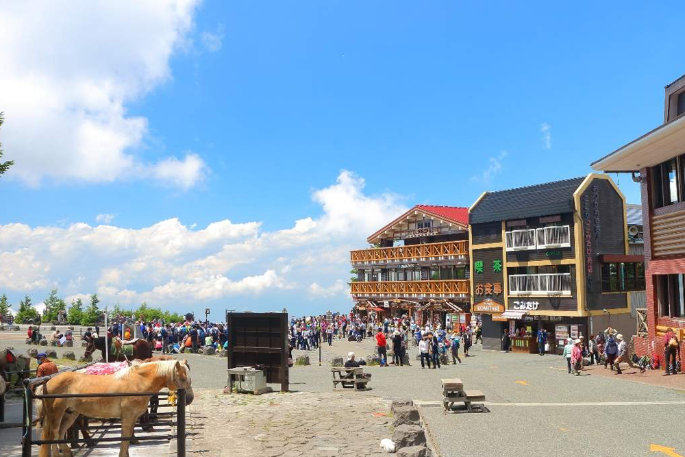 도쿄 출발 후지산 & 하코네 당일 여행 점심 포함 - 이미지 4 중 5