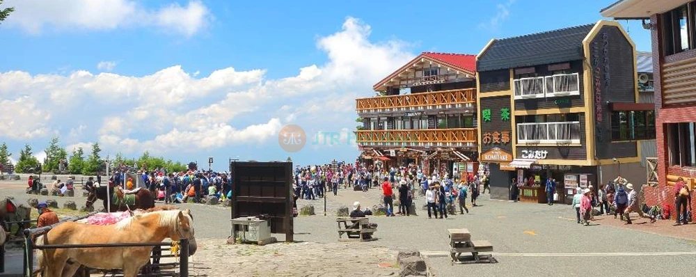 Mt. Fuji & Hakone One Day Trip from Tokyo with Lunch | Scenic Tour & Cruise - JTR Holidays - Image 4 of 5