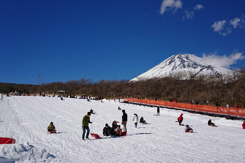 도쿄 출발 후지산 & 하코네 당일 여행 점심 포함 - Image 6 of 7