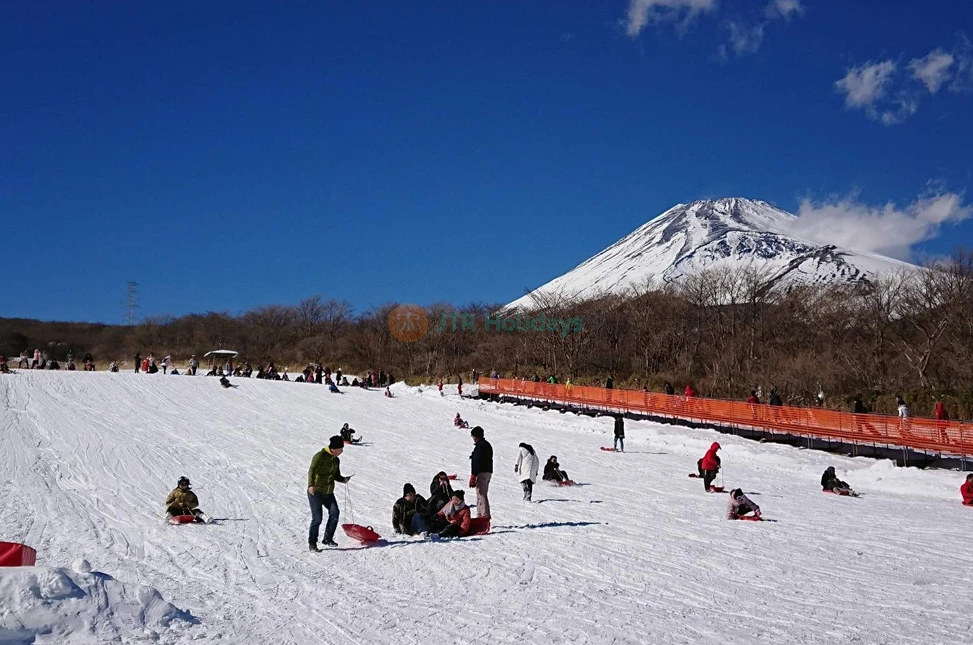 富士山と箱根 東京発日帰りツアー（昼食付き） - Image 6 of 7