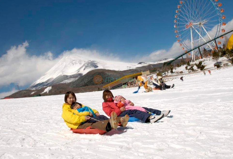 Mt. Fuji & Hakone One Day Trip from Tokyo with Lunch | Scenic Tour & Cruise - JTR Holidays - Image 7 of 7