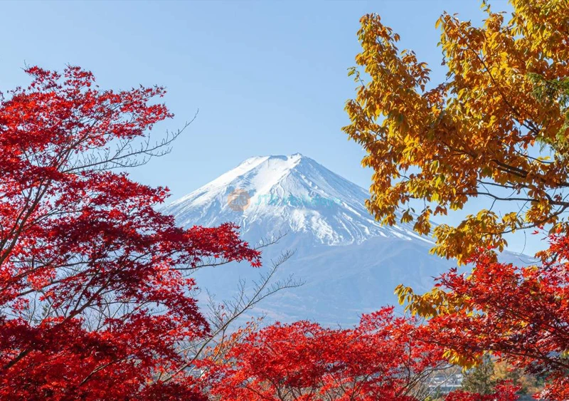 Tour di un giorno magnifico al Monte Fuji da Tokyo