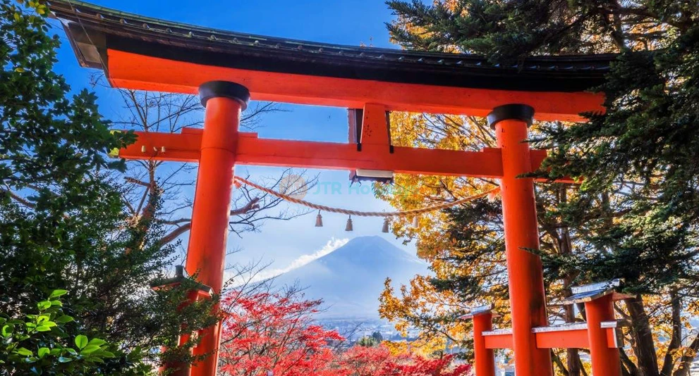 Excursion d'une journée magnifique au Mont Fuji depuis Tokyo - Image 1 of 11