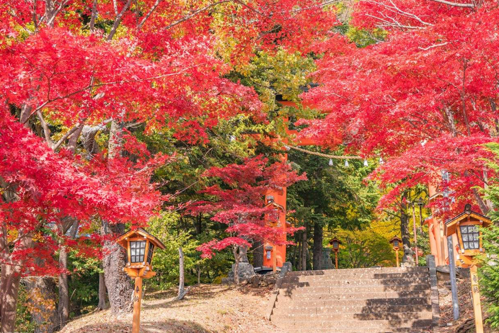 Mount Fuji Magnificent Day Tour from Tokyo - Image 2 of 5