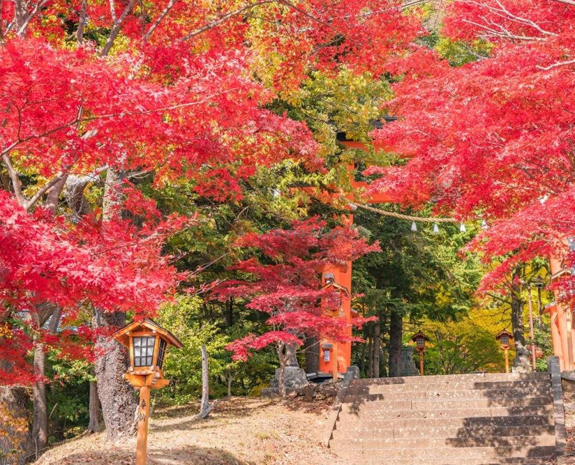 Mount Fuji Magnificent Day Tour from Tokyo | Scenic Full-Day Trip - JTR Holidays - Image 2 of 5