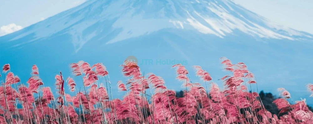 Mount Fuji Magnificent Day Tour from Tokyo | Scenic Full-Day Trip - JTR Holidays - Image 4 of 5