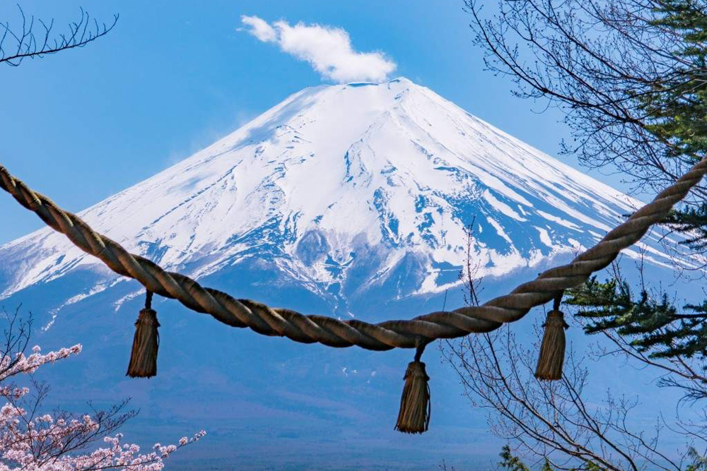 Mount Fuji Magnificent Day Tour from Tokyo - Image 5 of 11