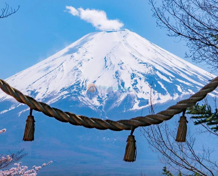 Excursion d'une journée magnifique au Mont Fuji depuis Tokyo - Image 5 sur 5