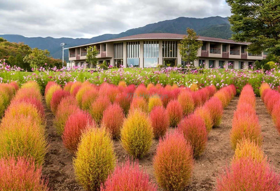 Mount Fuji Magnificent Day Tour from Tokyo | Scenic Full-Day Trip - JTR Holidays - Image 6 of 11