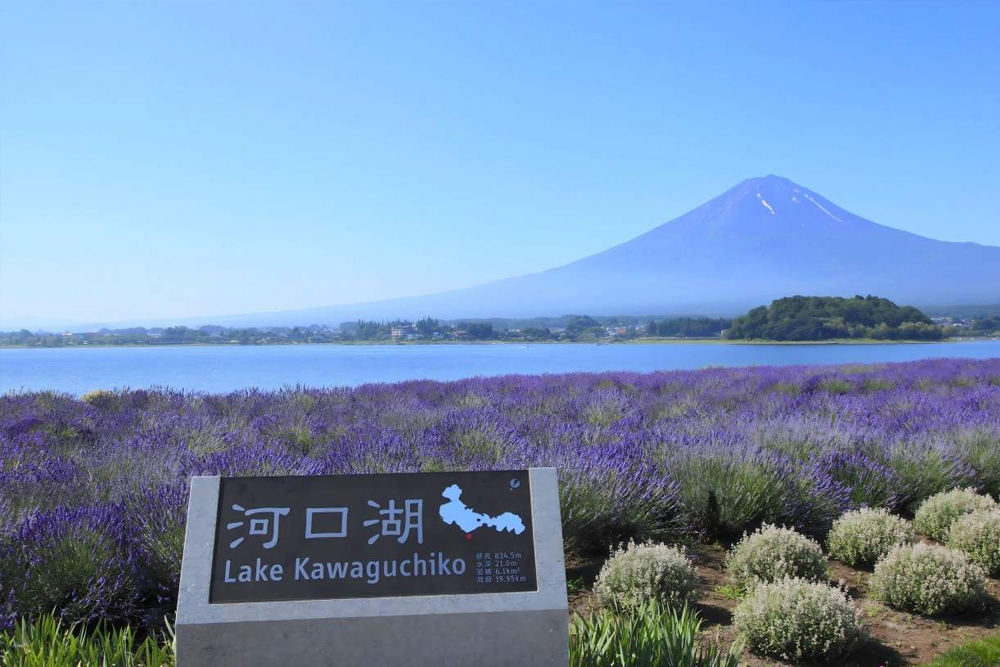 Mount Fuji Magnificent Day Tour from Tokyo - Image 7 of 11