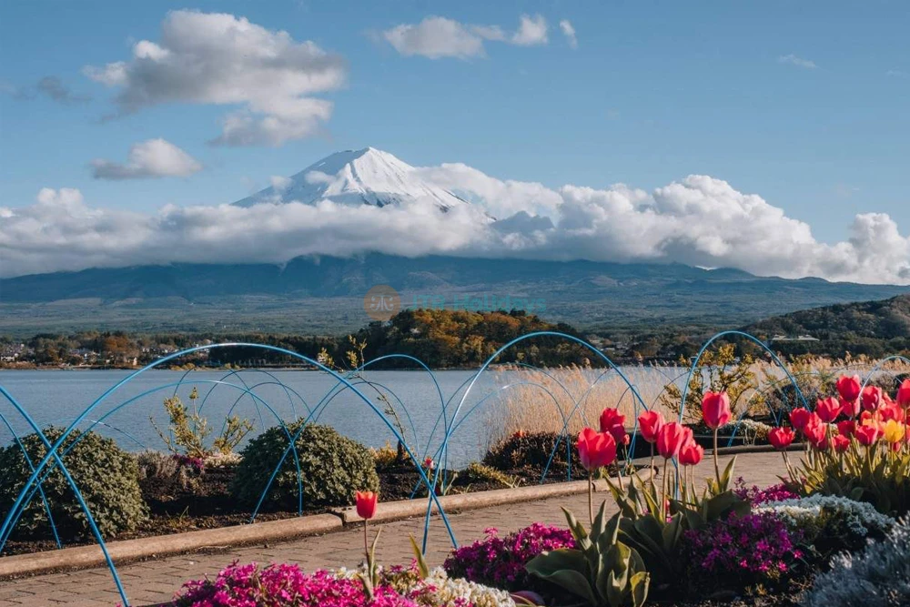 Mount Fuji Magnificent Day Tour from Tokyo | Scenic Full-Day Trip - JTR Holidays - Image 8 of 11