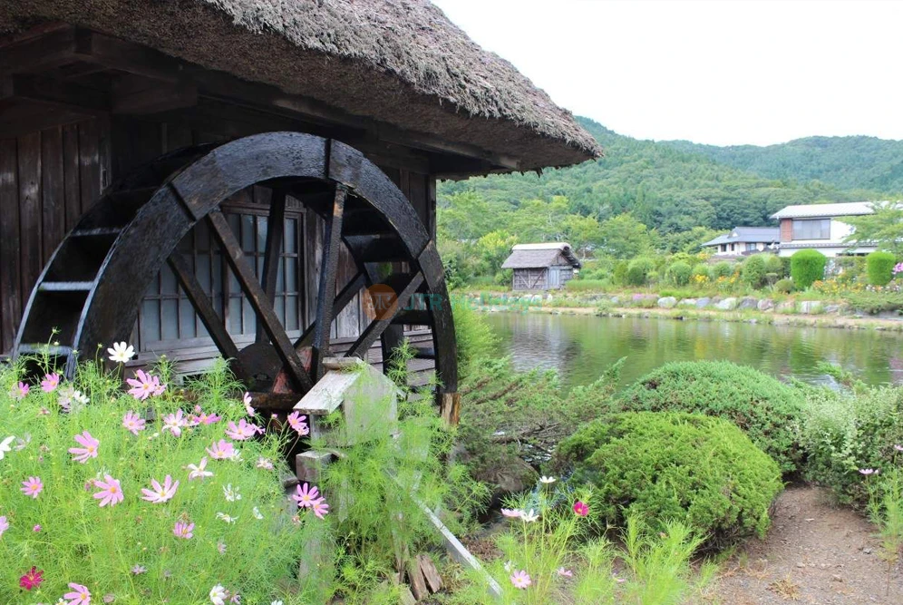 Mount Fuji Magnificent Day Tour from Tokyo | Scenic Full-Day Trip - JTR Holidays - Image 9 of 11