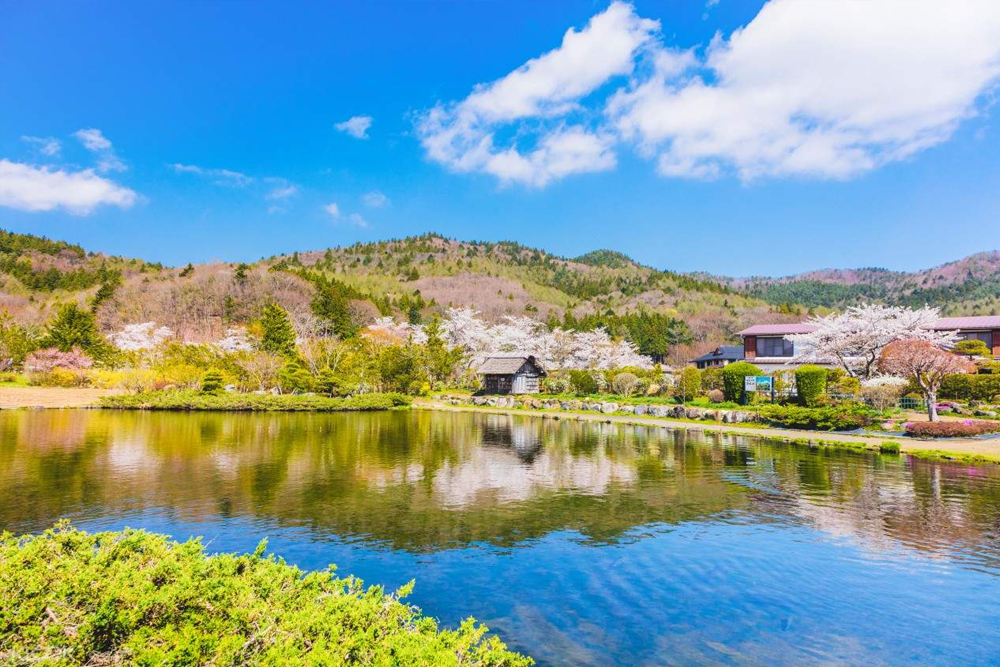 Mount Fuji Magnificent Day Tour from Tokyo - Image 11 of 11
