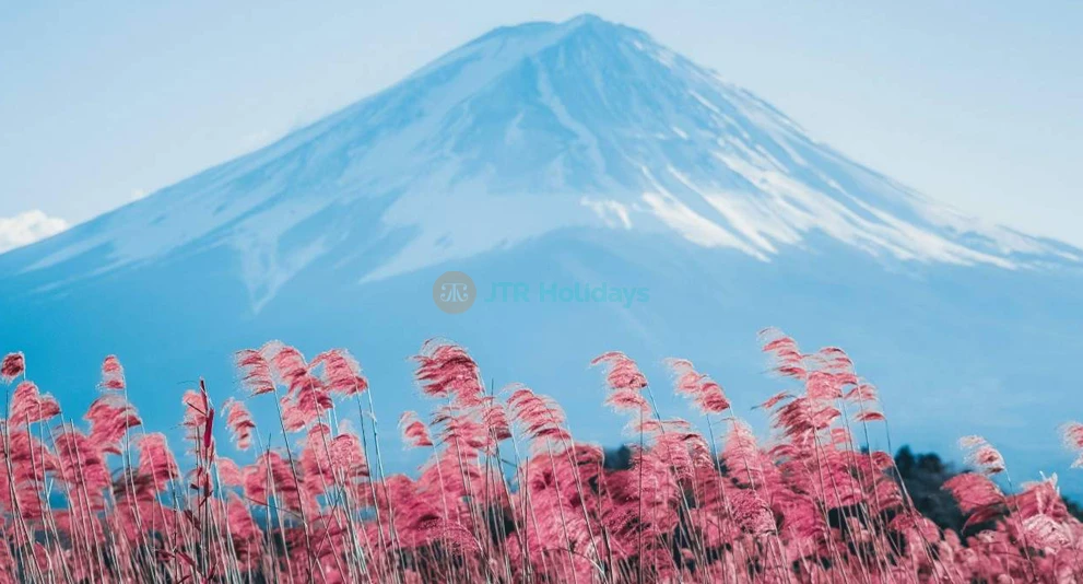 Mount Fuji Popular Instagrammable Sightseeing Tour from Tokyo – Best Photo Spots JTR Holidays - Image 1 of 5