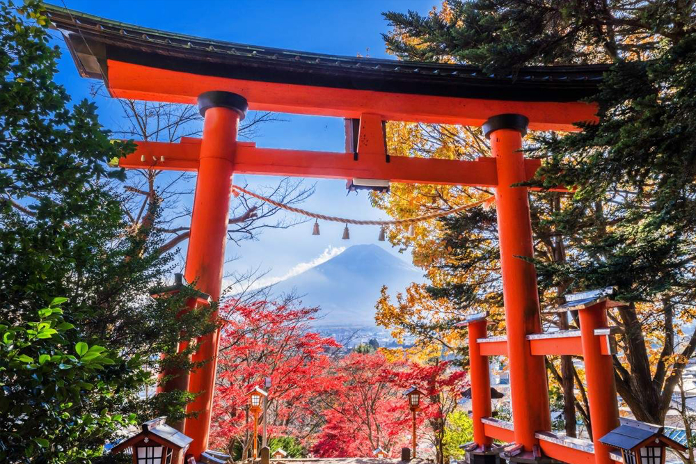 富士山热门可拍照观光游（从东京出发） - Image 2 of 8