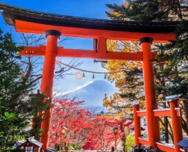 Mount Fuji Popular Instagrammable Sightseeing Tour from Tokyo – Best Photo Spots JTR Holidays