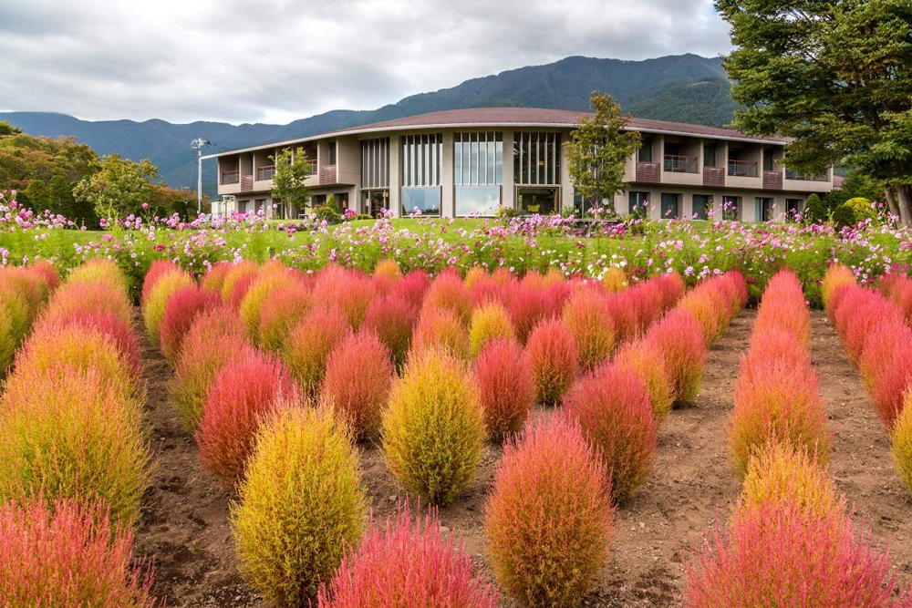 Mount Fuji beliebte instagrammable Sightseeing-Tour (ab Tokio) - Entdecken Sie die beliebte Instagram-taugliche Sightseeing-Tour zum Mount Fuji ab Tokio und erkunden Sie die fotogensten Orte rund um Japans ikonischen Berg. Machen Sie atemberaubende Fotos an berühmten Orten wie dem Arakurayama Sengen Park, Oshino Hakkai und dem Kawaguchi-See. Dieser unvergessliche Tagesausflug vereint Natur, Kultur und Fotografie für das perfekte Mount Fuji Erlebnis. Nehmen Sie jetzt teil an einem malerischen Abenteuer voller Erinnerungen und perfekten Fotomomenten. Mount Fuji beliebte instagrammable Sightseeing-Tour (ab Tokio) - Bild 3 von 5