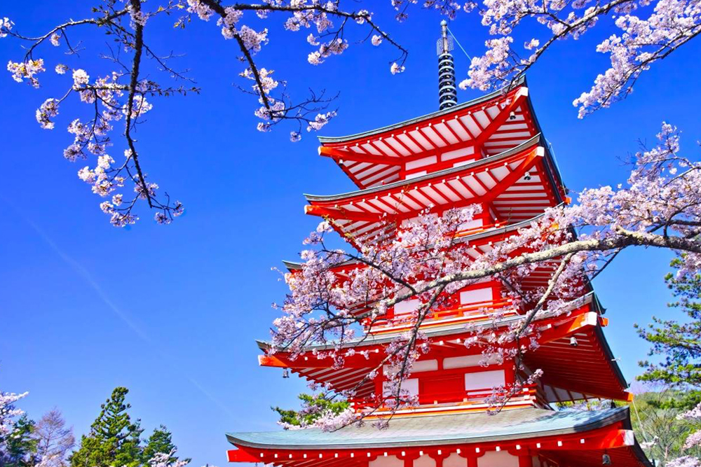Mount Fuji beliebte instagrammable Sightseeing-Tour (ab Tokio) - Entdecken Sie die beliebte Instagram-taugliche Sightseeing-Tour zum Mount Fuji ab Tokio und erkunden Sie die fotogensten Orte rund um Japans ikonischen Berg. Machen Sie atemberaubende Fotos an berühmten Orten wie dem Arakurayama Sengen Park, Oshino Hakkai und dem Kawaguchi-See. Dieser unvergessliche Tagesausflug vereint Natur, Kultur und Fotografie für das perfekte Mount Fuji Erlebnis. Nehmen Sie jetzt teil an einem malerischen Abenteuer voller Erinnerungen und perfekten Fotomomenten. Mount Fuji beliebte instagrammable Sightseeing-Tour (ab Tokio) - Bild 4 von 5