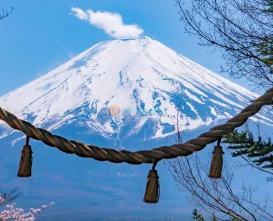 Mount Fuji Popular Instagrammable Sightseeing Tour from Tokyo – Best Photo Spots JTR Holidays