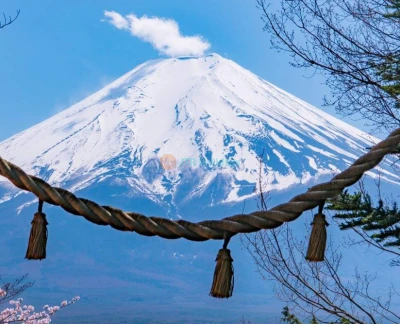 Excursion populaire instagrammable au Mont Fuji (depuis Tokyo) - Découvrez l'excursion populaire instagrammable au Mont Fuji depuis Tokyo et explorez les endroits les plus photogéniques autour de la montagne emblématique du Japon. Immortalisez des photos époustouflantes dans des lieux célèbres comme le parc Arakurayama Sengen, Oshino Hakkai et le lac Kawaguchi. Cette excursion d'une journée inoubliable combine nature, culture et photographie pour une expérience parfaite du Mont Fuji. Rejoignez-nous dès maintenant pour une aventure pittoresque remplie de souvenirs et de moments dignes d'une photo. Excursion populaire instagrammable au Mont Fuji (depuis Tokyo) - Image 5 sur 5
