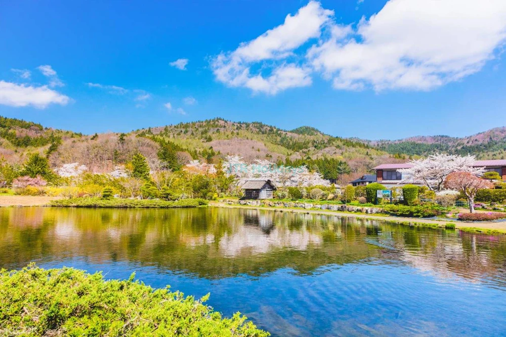 Tour popular para tomar fotos en Instagram del Monte Fuji (desde Tokio) - Image 6 of 8