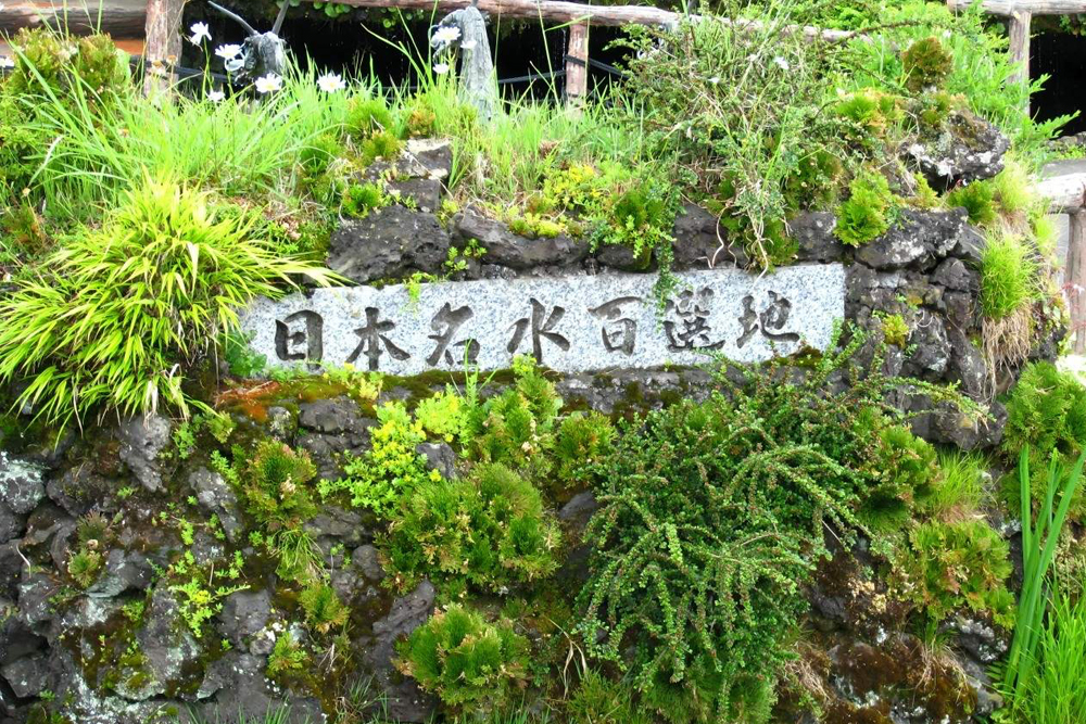 富士山热门可拍照观光游（从东京出发） - Image 8 of 8