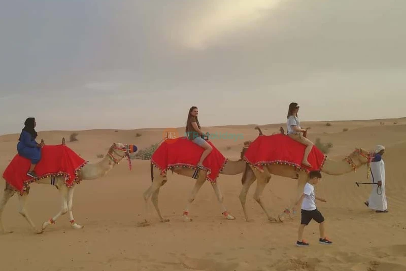 Evening Desert Safari With Dune Buggy Ride - Image 8 of 10