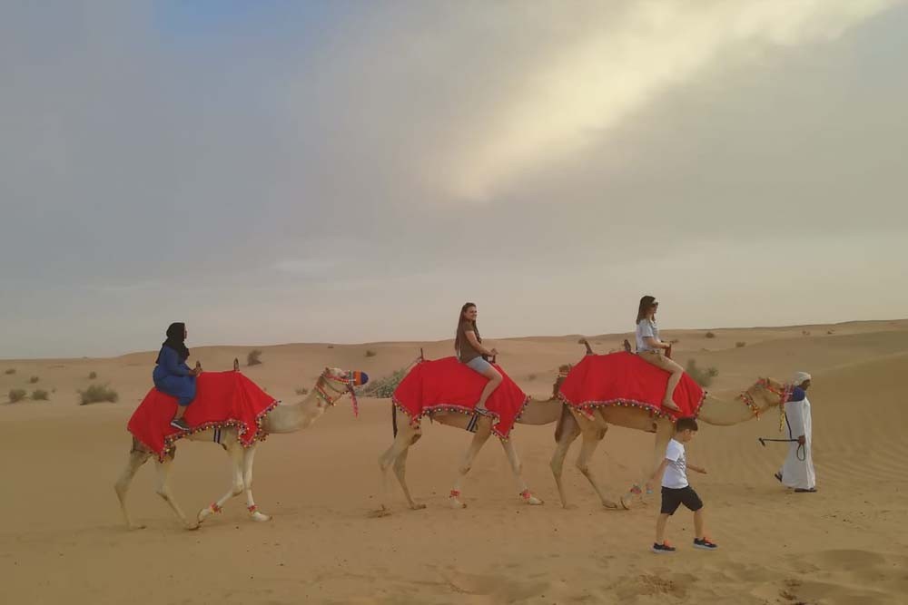 Evening Desert Safari With Dune Buggy Ride - Image 8 of 10