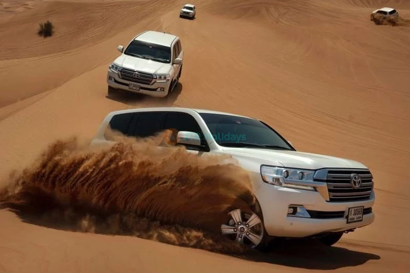 Evening Desert Safari With Dune Buggy Ride - Image 9 of 10