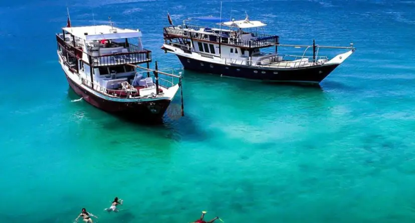 Musandam Dibba Cruise Tour with Lunch from Dubai - Image 1 of 7