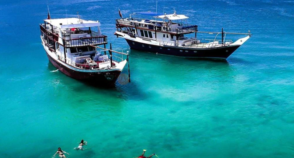 Musandam Dibba Cruise Tour with Lunch from Dubai - Image 1 of 5