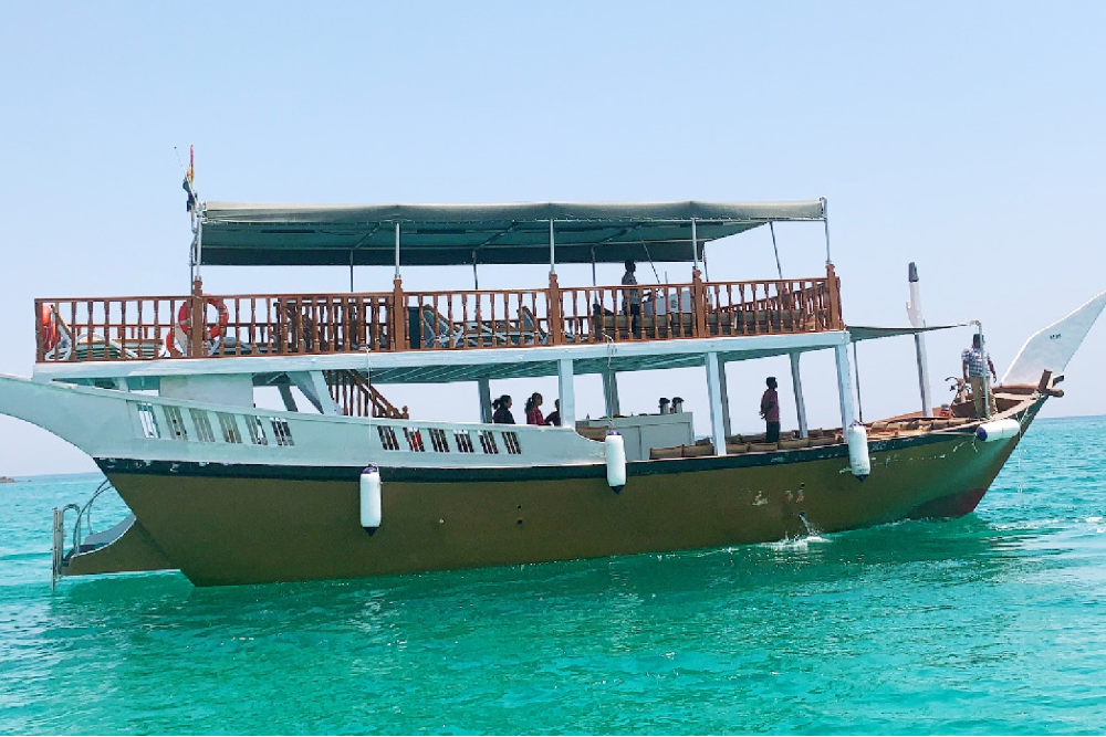 Musandam Dibba Cruise Tour with Lunch from Dubai - Image 4 of 7