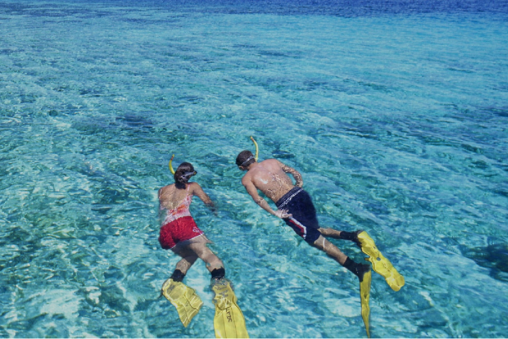 Musandam Dibba Cruise Tour with Lunch from Dubai - Image 5 of 5