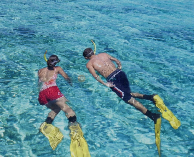 Musandam Dibba Cruise Tour with Lunch from Dubai - Image 5 of 5