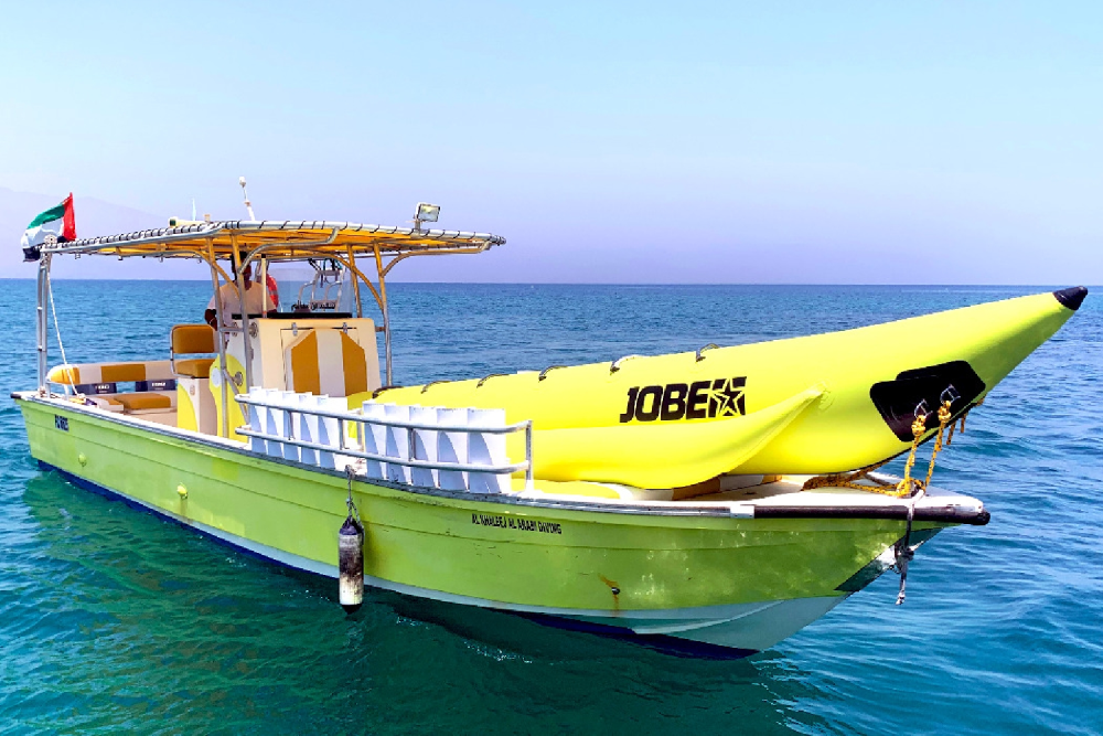 Musandam Dibba Cruise Tour with Lunch from Dubai - Image 6 of 7