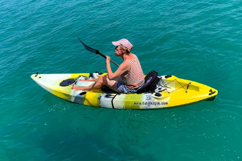 Tour en Crucero Musandam Dibba con Almuerzo desde Dubái - Image 7 of 7